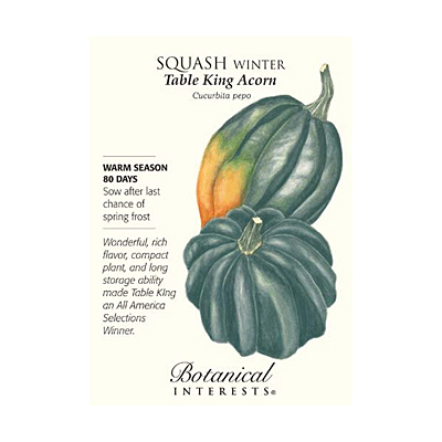 Seeds - BI Squash Winter Table King Acorn