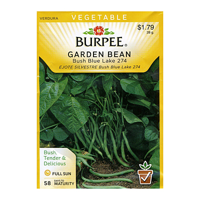 Seeds - Bean, Bush 'Blue Lake 274'