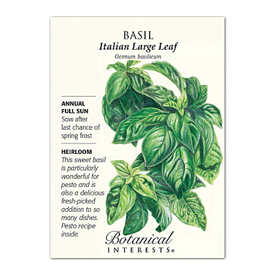 Seeds - BI Basil Italian Large Leaf