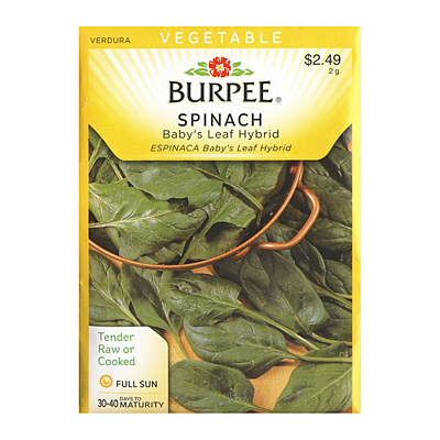 Seeds - Spinach 'Baby's Leaf Hybrid'