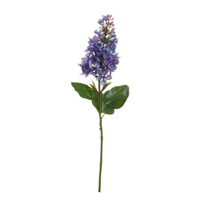 Lilac Spray Lavender