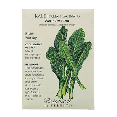Seeds - BI Kale Italian Nero Toscana