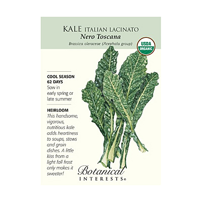 Seeds - BI Kale Italian Nero Toscana Org