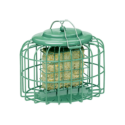 Nuttery Oval Suet Cake - Green