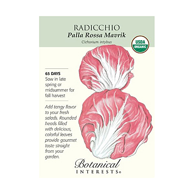 Seeds - BI Radicchio Palla Rossa Org