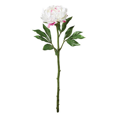 Peony Stem - White