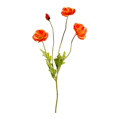 Poppy Spray - Flame