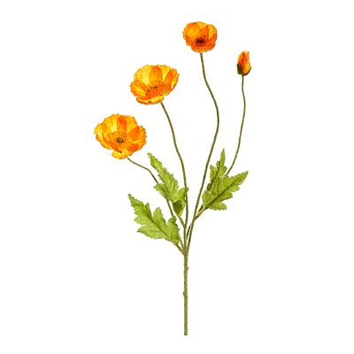 Poppy Spray - Orange