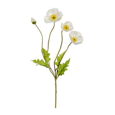 Poppy Spray - White