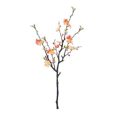 Quince Blossom Branch - Peach