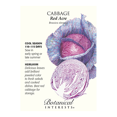 Seeds - BI Cabbage Red Acre