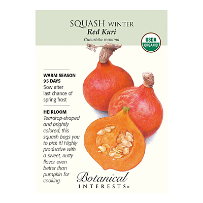 Seeds - BI Squash Winter Red Kuri Org