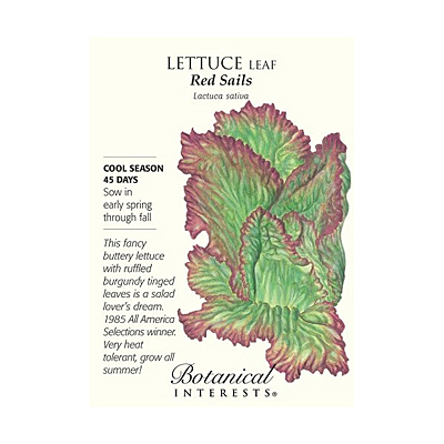 Seeds - BI Lettuce Leaf Red Sails