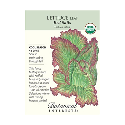 Seeds - BI Lettuce Leaf Red Sails Org