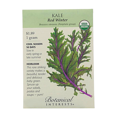 Seeds - BI Kale Red Winter Org