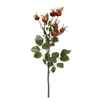 Rose Hip Spray - Burgundy