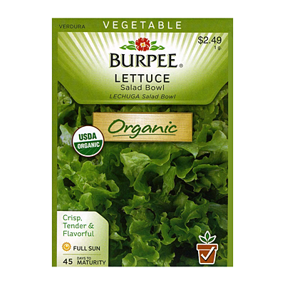 Seeds - OR Lettuce 'Salad Bowl'