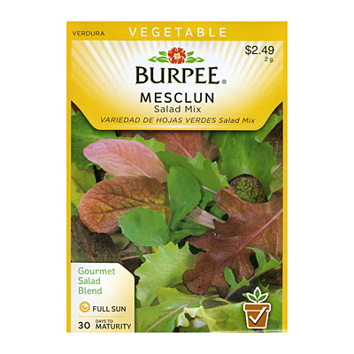 Seeds - Mesclun 'Salad Mix'