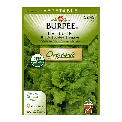 Seeds - OR Lettuce 'Black Seeded Simpson'