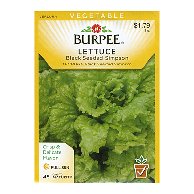 Seeds - Lettuce, Leaf 'Black-Seeded Simpson'