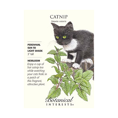 Seeds - BI Catnip