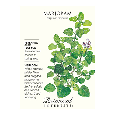 Seeds - BI Marjoram