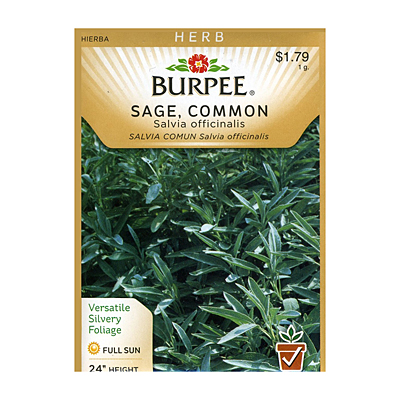 Seeds - Sage