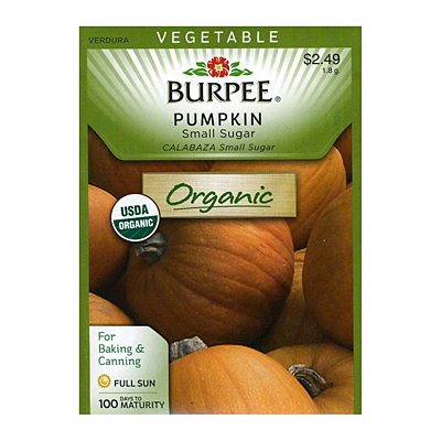 Seeds - OR Pumpkin 'Small Sugar'