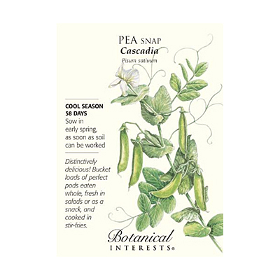 Seeds - BI Pea Snap Cascadia