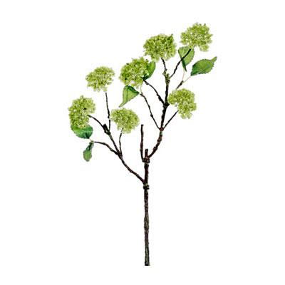 Snowball Spray Green