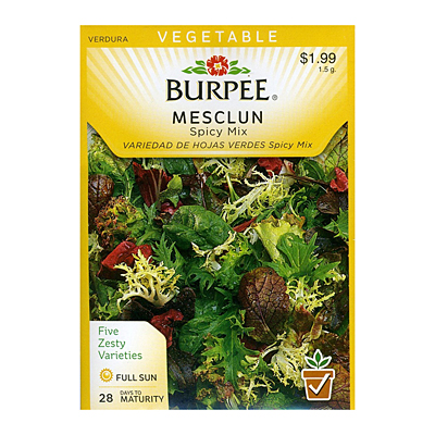 Seeds - Mesclun 'Spicy Mix'