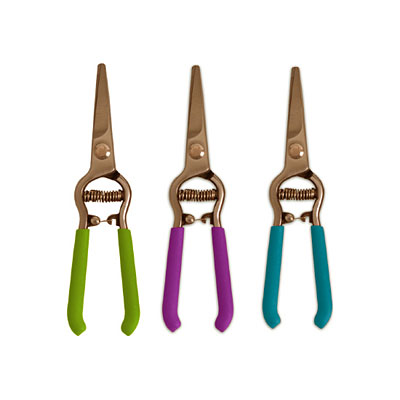 Terra Verde Splash Floral Shear