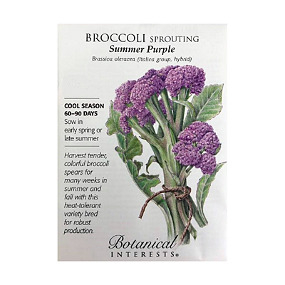 Seeds - BI Broccoli Sprouting Purple