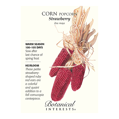 Seeds - BI Orn Corn Strawberry Popcorn
