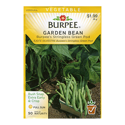 Seeds - Bean, Bushsnap 'Burpee's Stringless Green Pod'