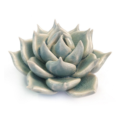 Coral 2 - Succulent Light Blue