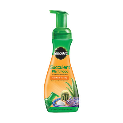 Miracle-Gro Succulent Plant Food - Foaming