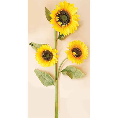 Sunflower Spray