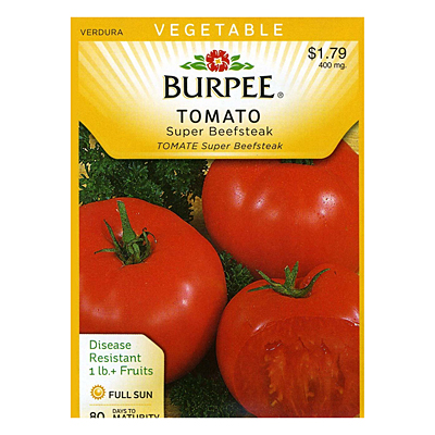 Seeds - Tomato, Giant 'Super Beefsteak'