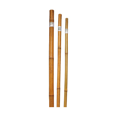 Bamboo stake - Terra Verde Super Pole