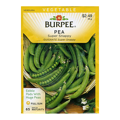 Seeds - Pea, Snap 'Super Snappy'