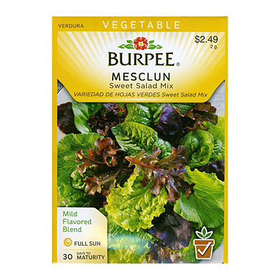 Seeds - Mesclun 'Sweet Salad Mix'