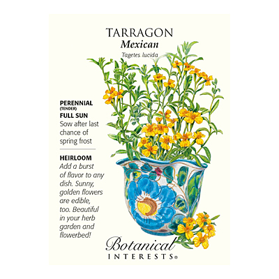 Seeds - BI Tarragon Mexican