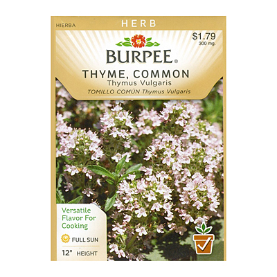 Seeds - Thyme 'Common'