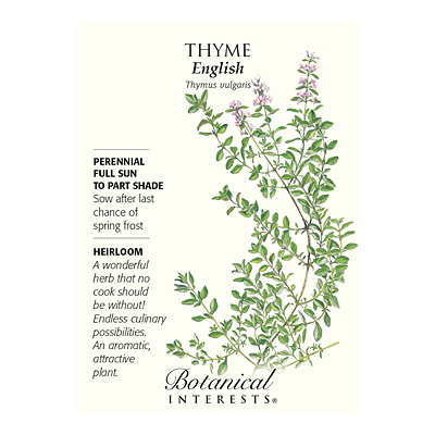 Seeds - BI Thyme English