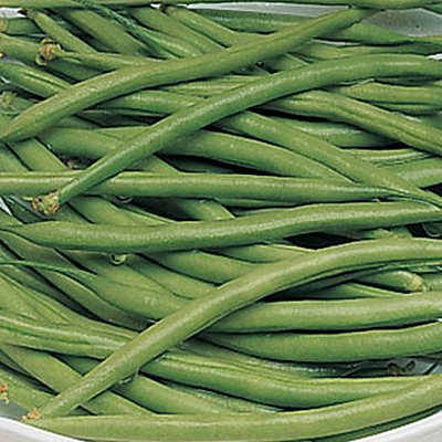 Seeds - Bean 'Triomphe de Farcy'