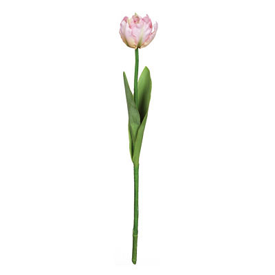Double Tulip Stem - Pink