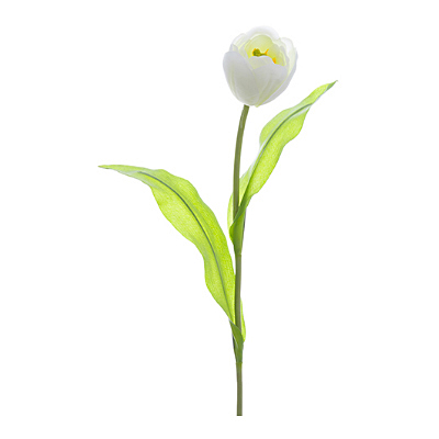 Tulip Spray - White