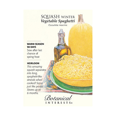 Seeds - BI Squash Winter Vegetable Spaghetti