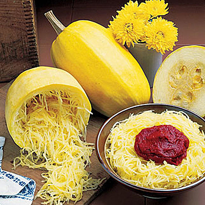 Seeds - Squash, Winter 'Vegetable Spaghetti'